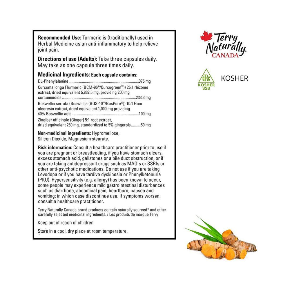 Terry Naturally Curamin DLPA 60 Capsules