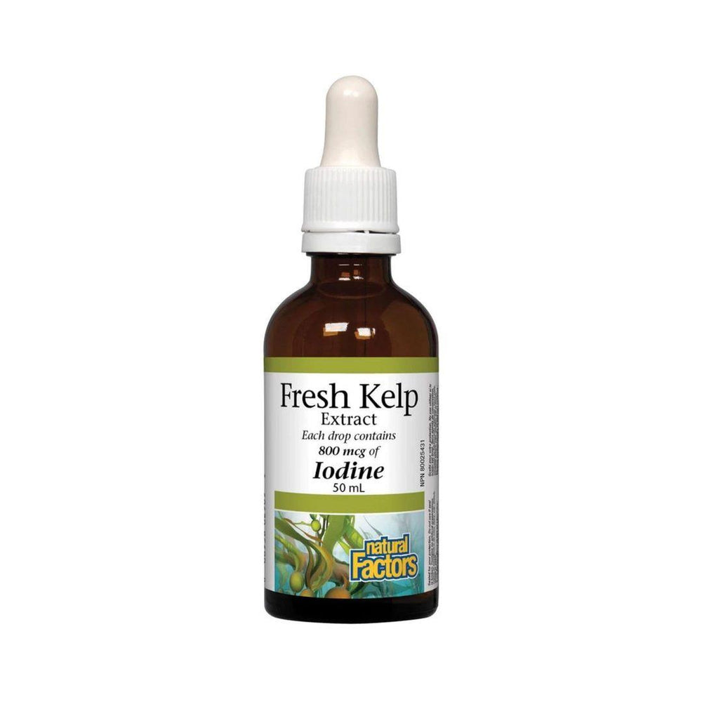 Natural Factors Fresh Kelp Extract 50ml Liquid