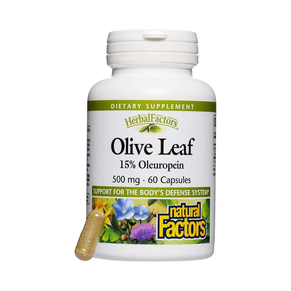 Natural Factors Olive Leaf Extract 500mg 90 Capsules